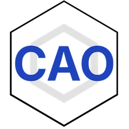 CAO Advisory LLC Website featured image
